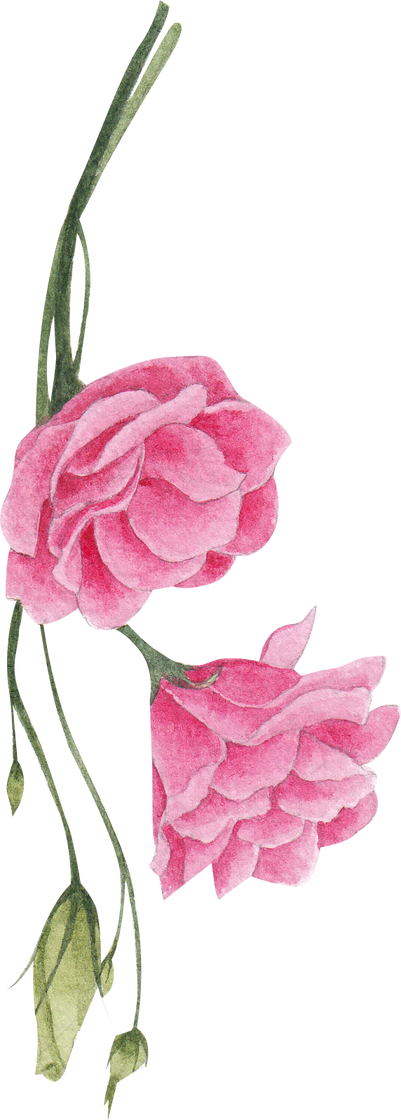 Spring Flower Plant